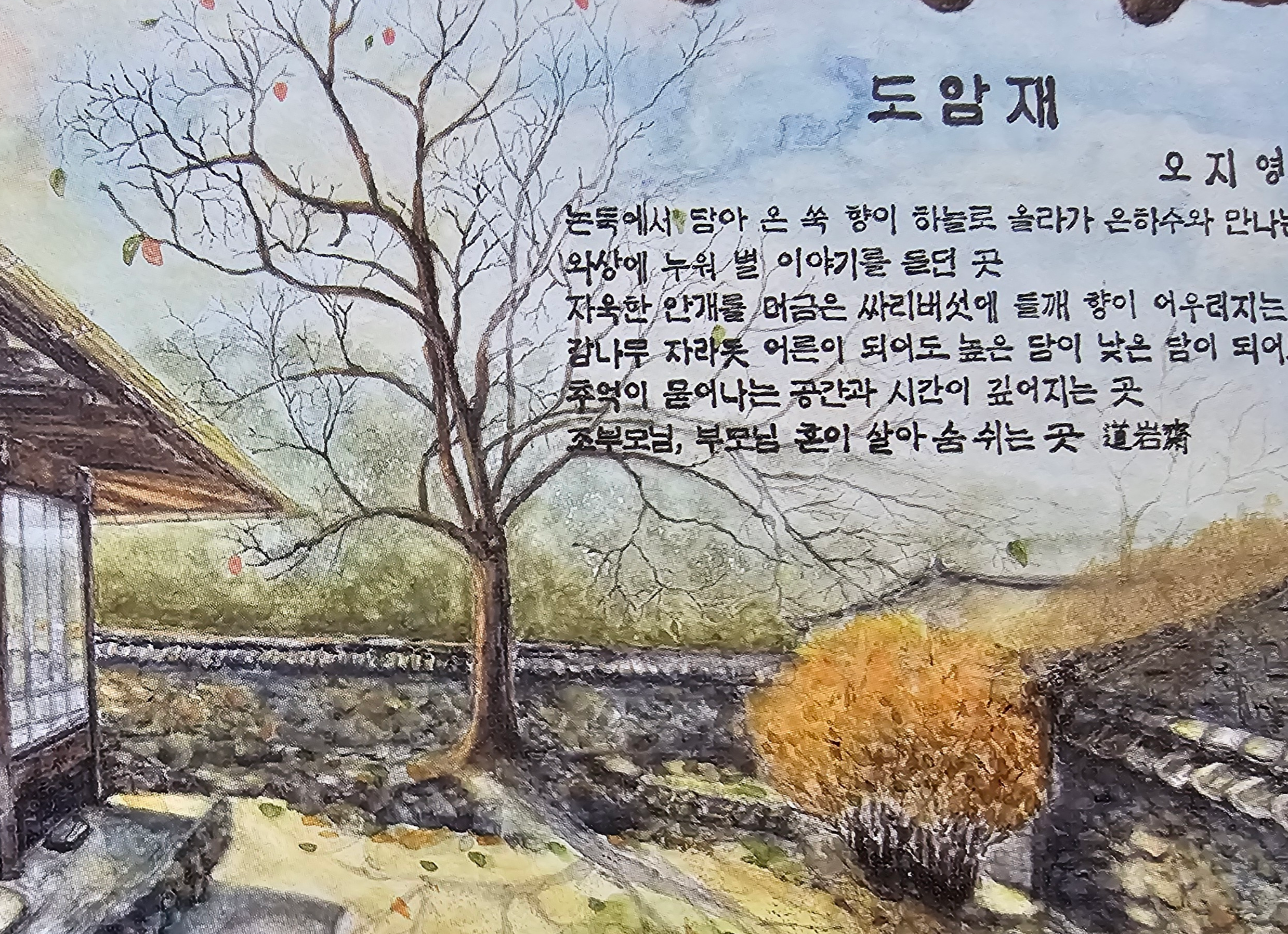 카드이미지